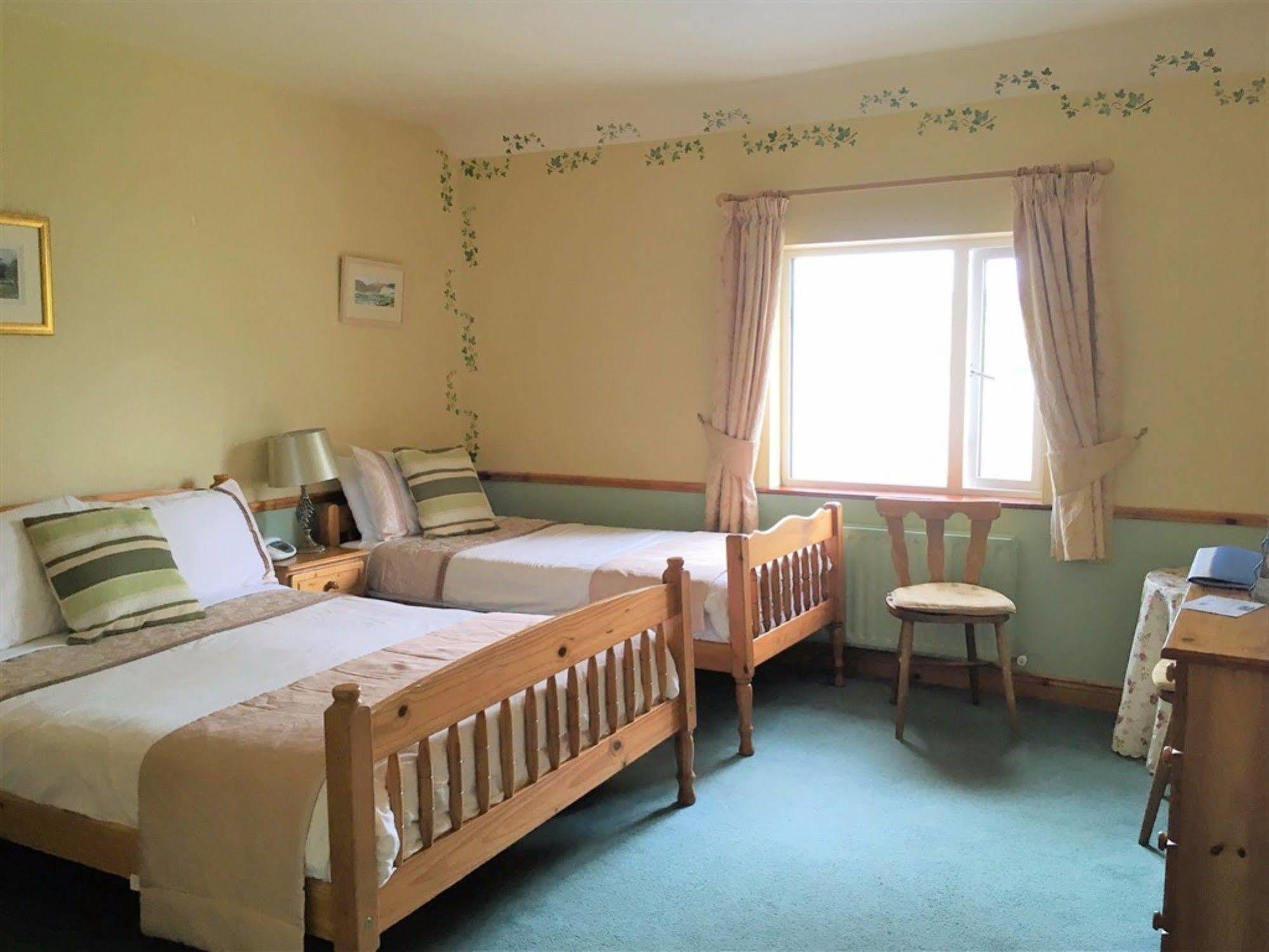 O'Connor'S Guest House Dingle Exterior foto