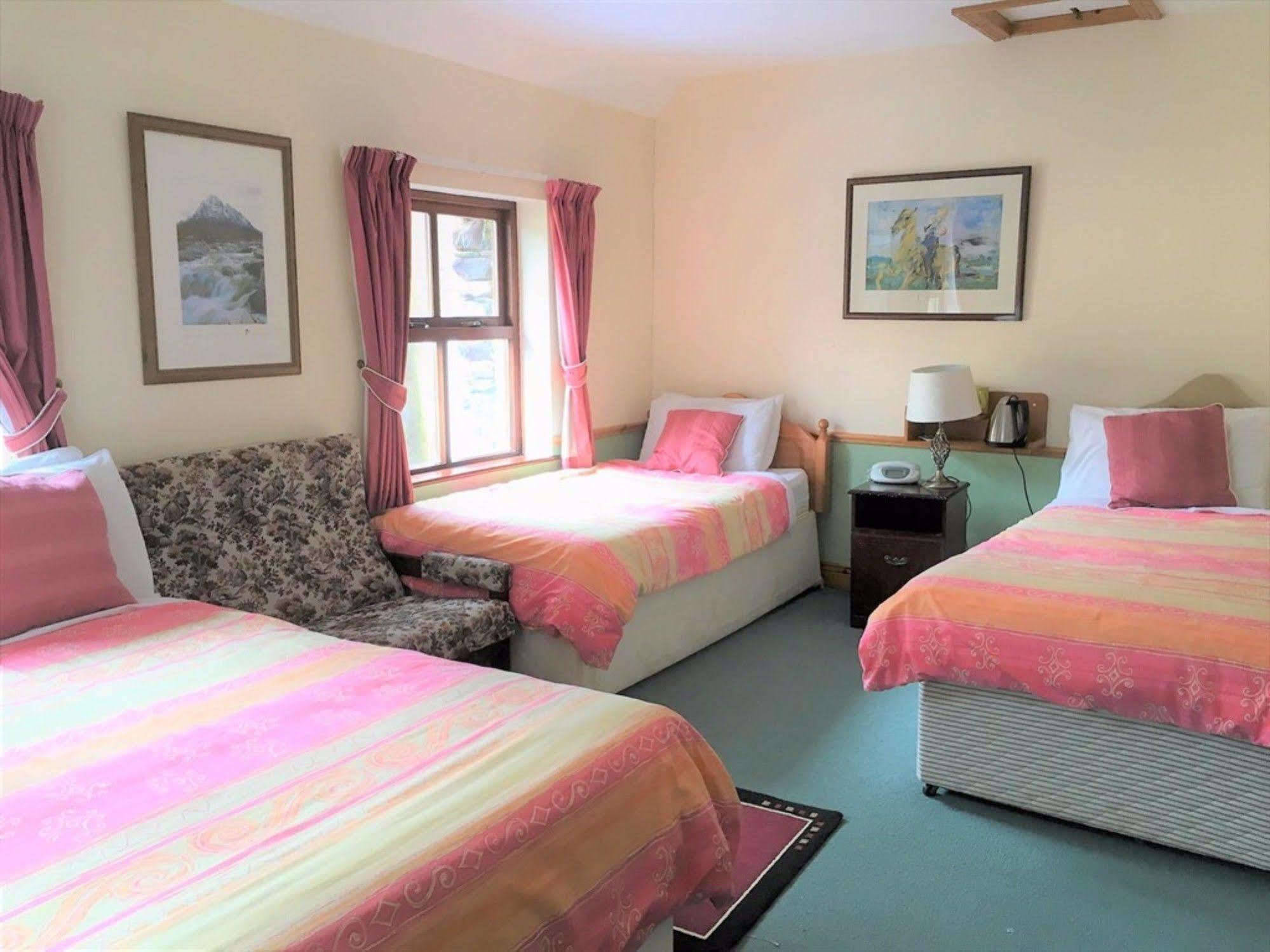 O'Connor'S Guest House Dingle Exterior foto